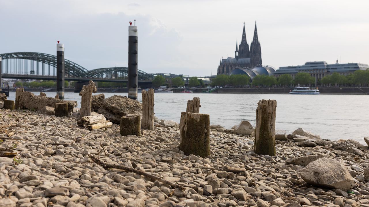 Niedrigwasser am Rhein in Köln-Deutz: Bei einem Rheinpegel von 148 cm am Pegel Köln sind am rechtsrheinischen Ufer Kiesflächen und alte Holzpfähle freigelegt. Im Hintergrund sind der Kölner Dom und die Hohenzollernbrücke zu sehen. Niedrigwasser am Rhein in Köln-Deutz: Bei einem Rheinpegel von 148 cm am Pegel Köln sind am rechtsrheinischen Ufer Kiesflächen und alte Holzpfähle freigelegt. Im Hintergrund sind der Kölner Dom und die Hohenzollernbrücke zu sehen.