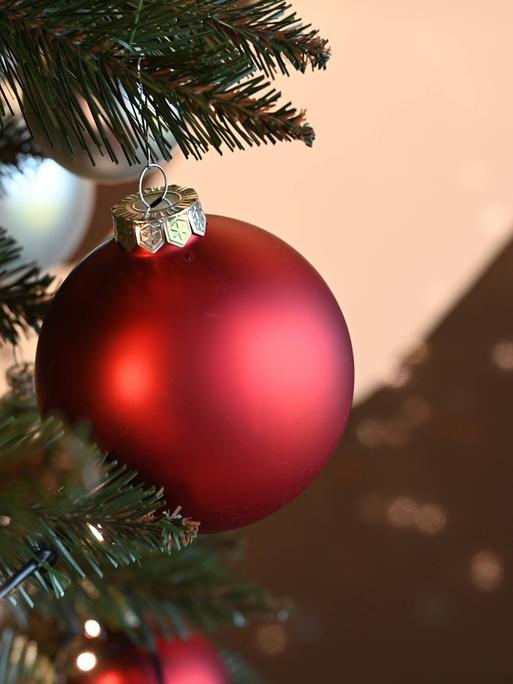 rote Weihnachtskugel hängt an einem Zweig am Weihnachtsbaum *** red Christmas bauble hanging from a branch on the Christmas tree