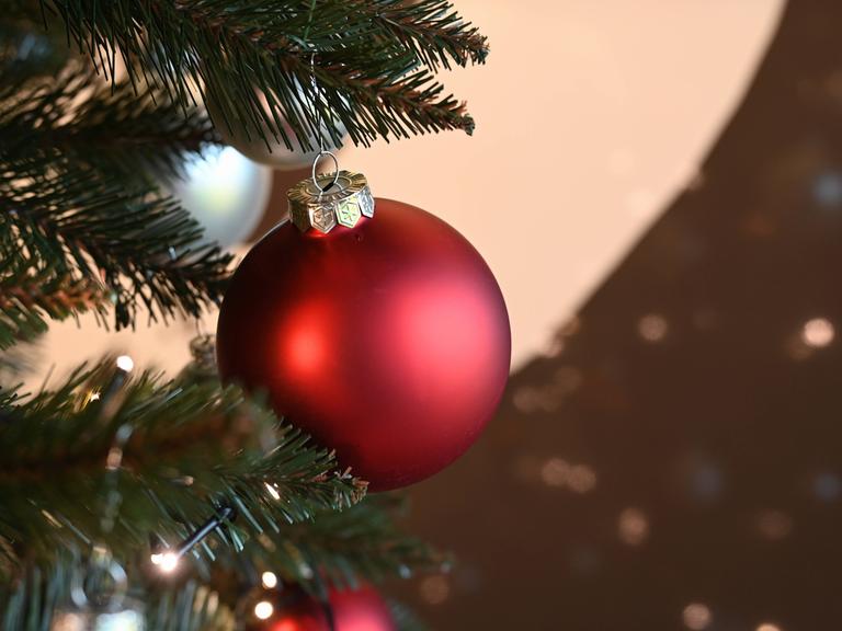 rote Weihnachtskugel hängt an einem Zweig am Weihnachtsbaum *** red Christmas bauble hanging from a branch on the Christmas tree