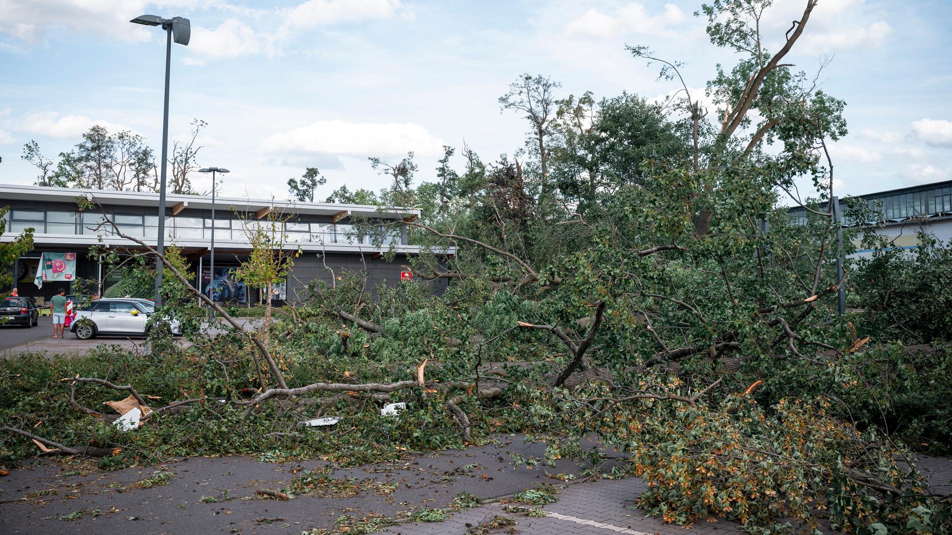 Thüringen, Ohrdruf: Auf dem Parkplatz eines Supermarkts liegen nach einem Sturm Teile von Bäumen und abgebrochene Äste. 