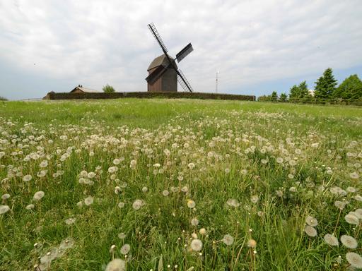 Am Dorfrand von Alt-Marzahn, an der Landsberger Allee, erhebt sich die historische Bockwindmuehle 