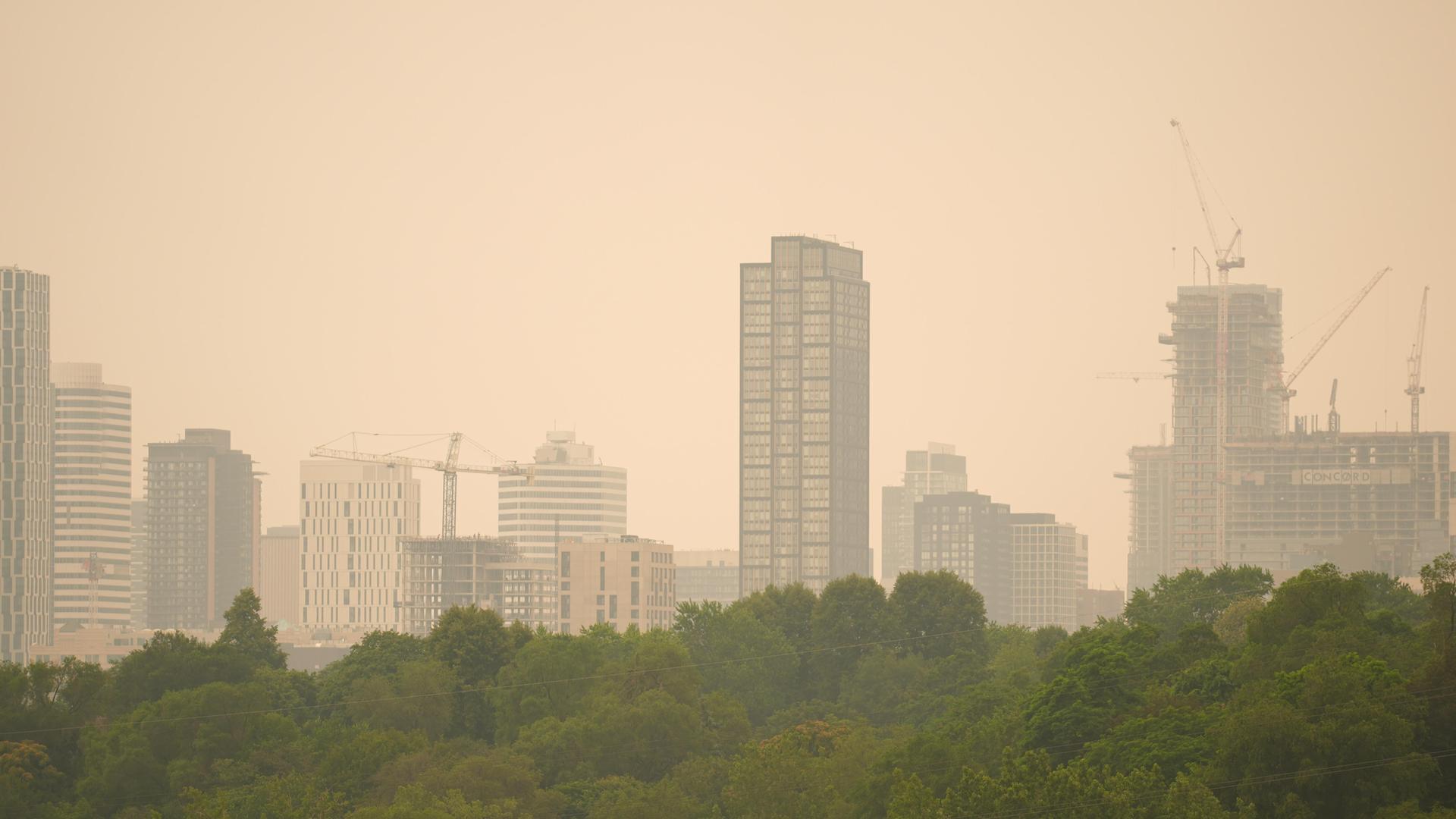 Die Skyline von Toronto ist verschleiert durch Rauch von Waldbränden, im Vordergrund einige Bäume.