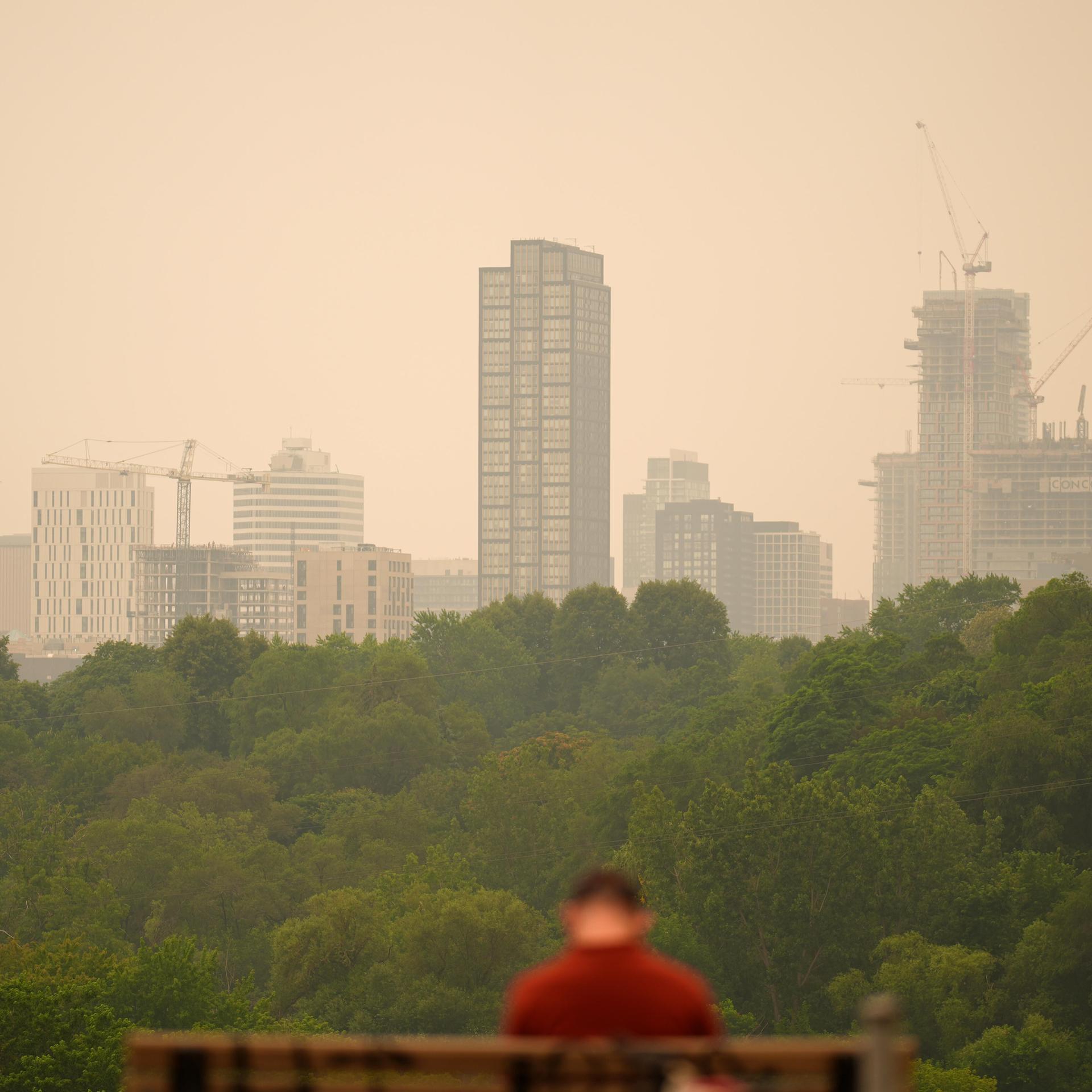Die Skyline von Toronto ist verschleiert durch Rauch von Waldbränden, im Vordergrund einige Bäume.