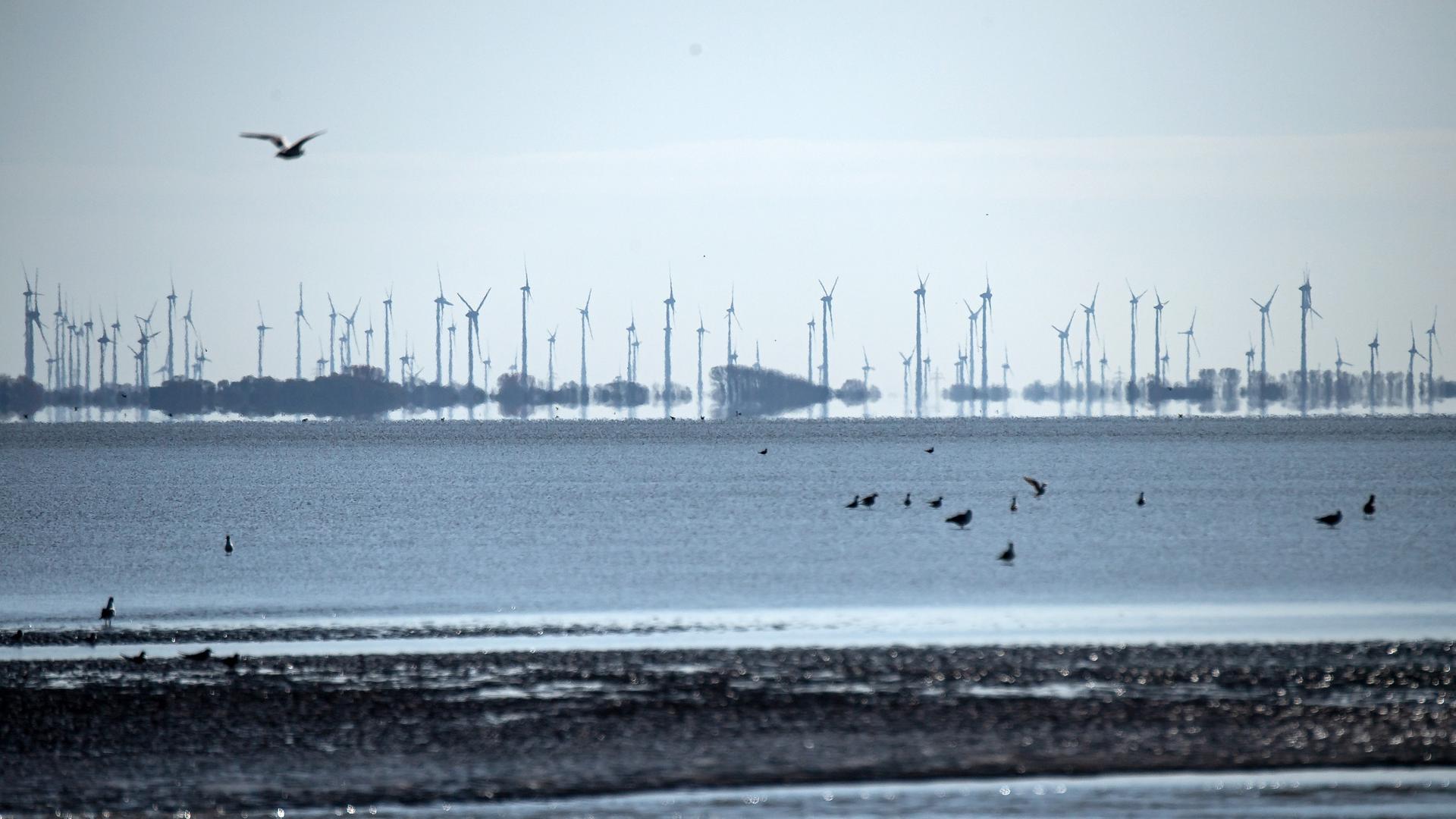 Offshore-Windanlagen im Nationalpark Niedersächsisches Wattenmeer