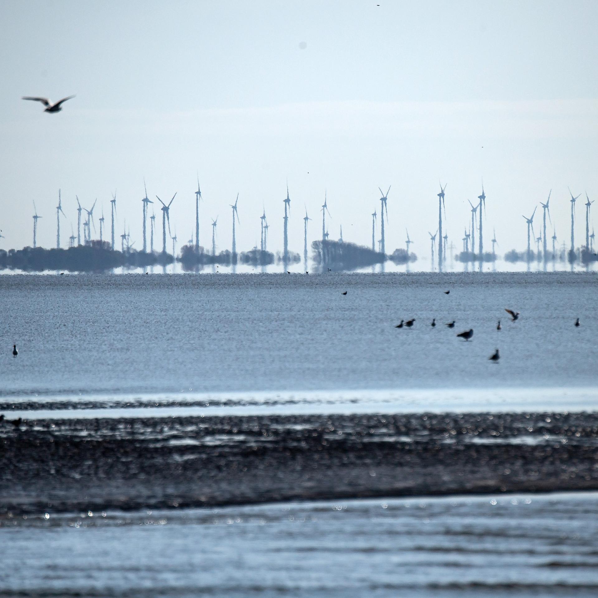 Wilhelmshaven - Festakt zum 40-jährigen Bestehen des Nationalparks Wattenmeer
