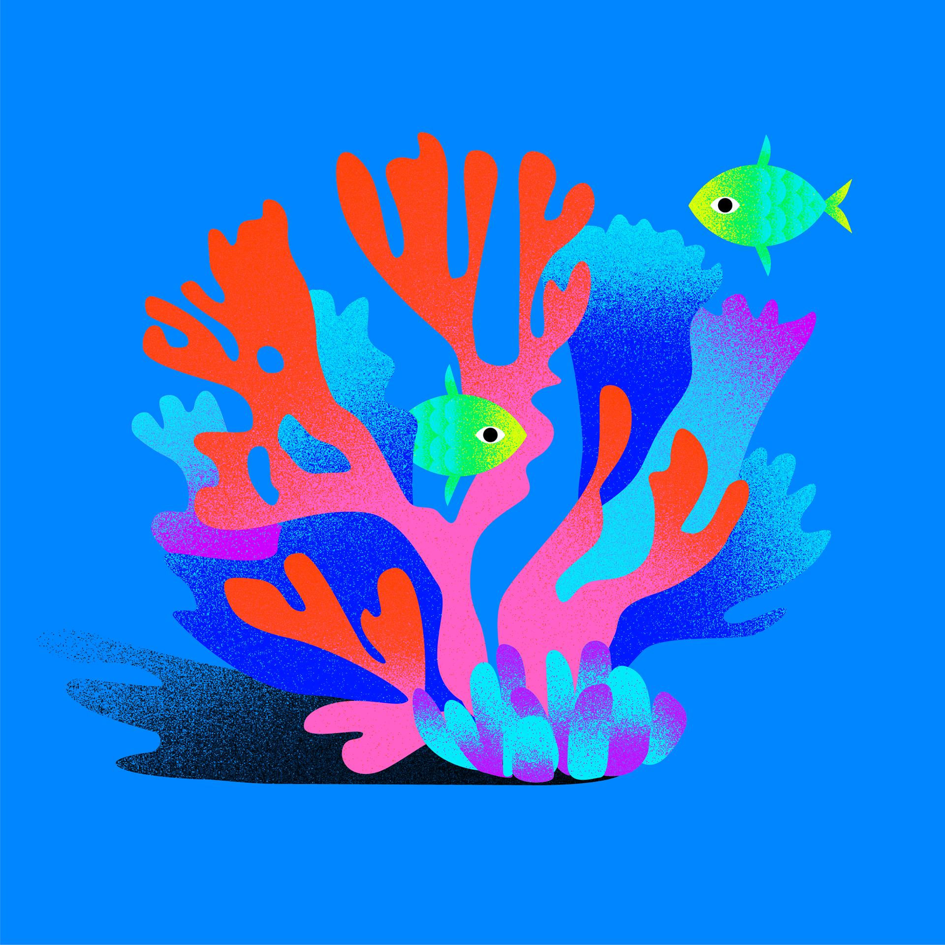 ”Wissenschaft im Brennpunkt” empfiehlt - Podcast ”Deep Science” - Klang der Korallen