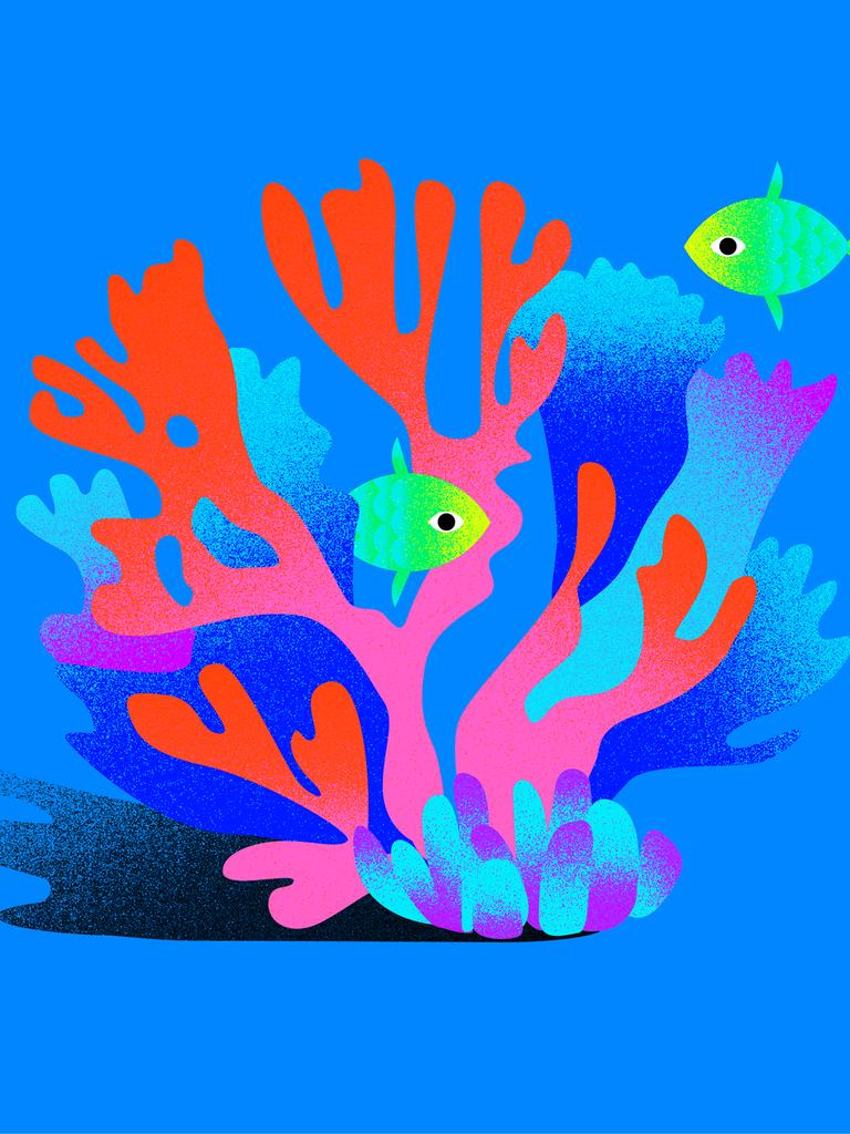 Die Grafik zeigt eine Koralle mit Fischen.