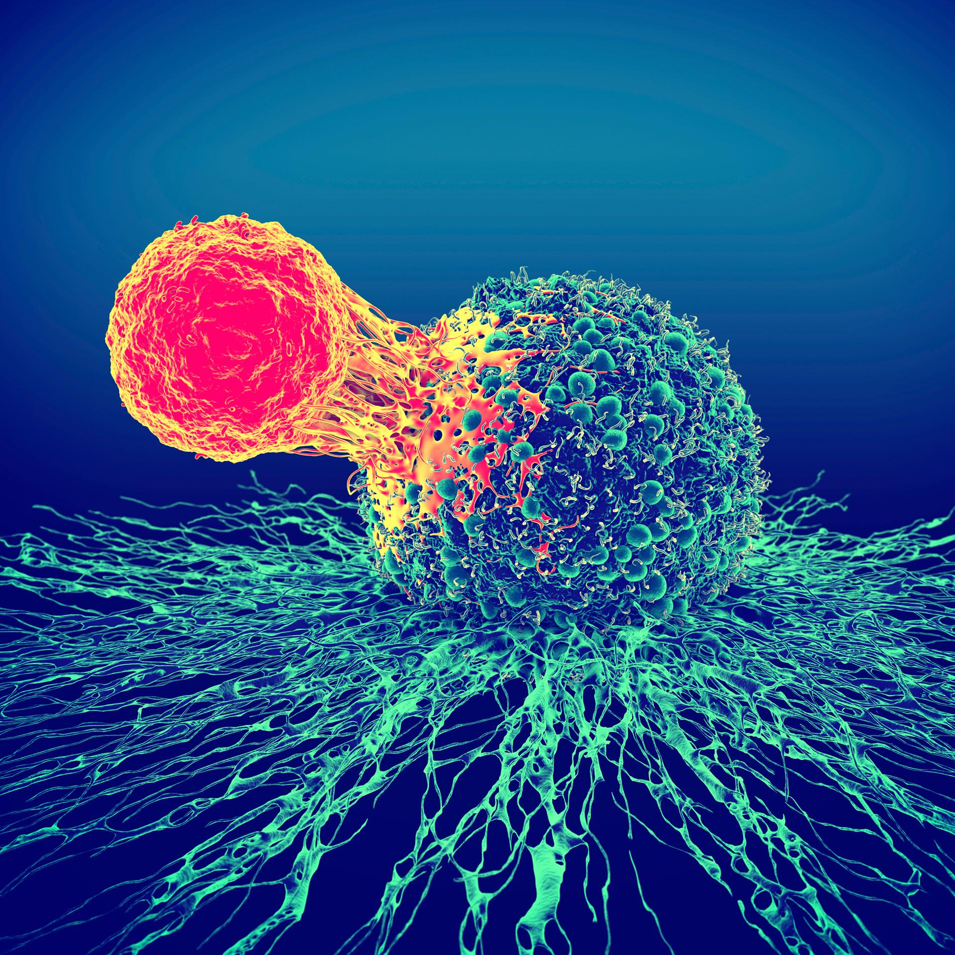 KI gegen Krebs - Hilft Künstliche Intelligenz, Tumore zu besiegen?