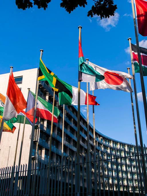 Die Flaggen verschiedener Länder wehen vor dem UNESCO-Hauptquartier in Paris, Frankreich