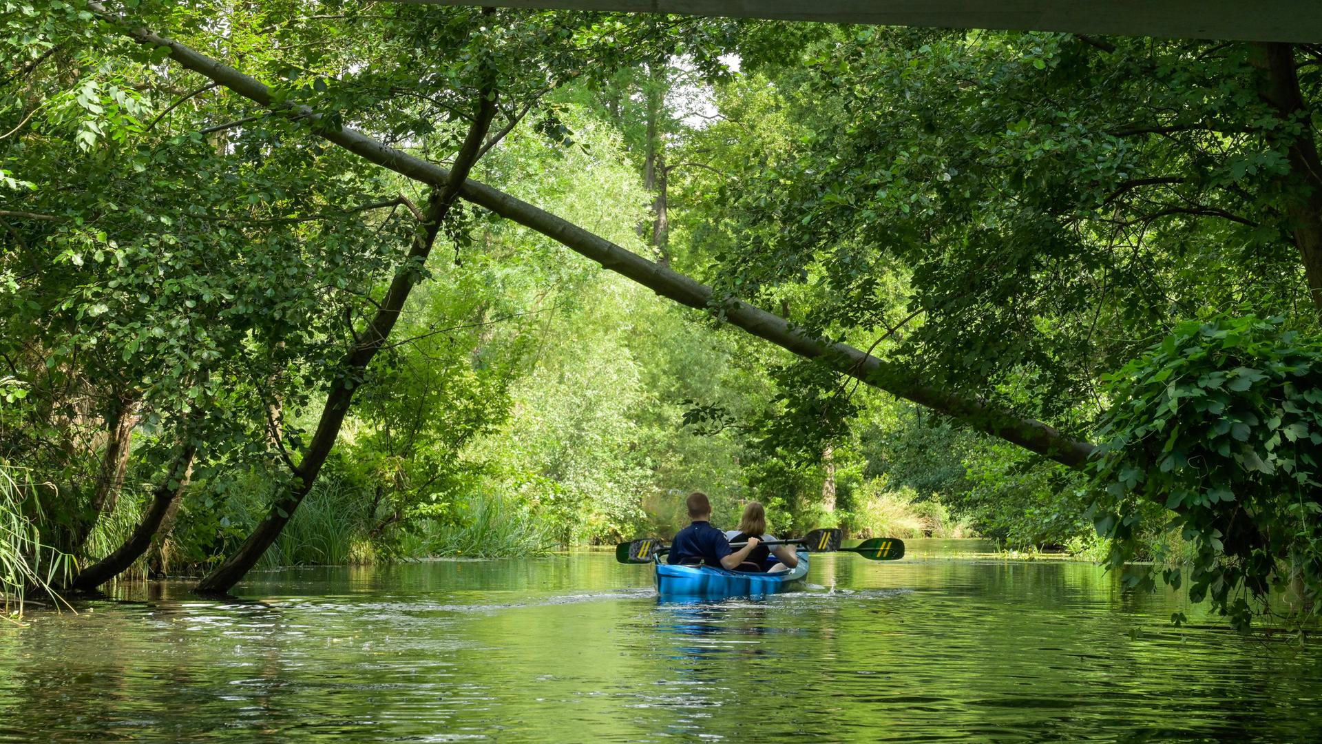 Kanufahrer im Spreewald in Brandenburg