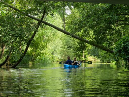 Kanufahrer im Spreewald in Brandenburg