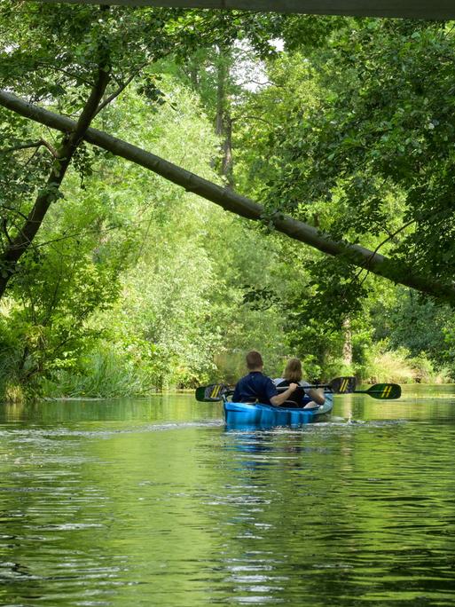 Kanufahrer im Spreewald in Brandenburg