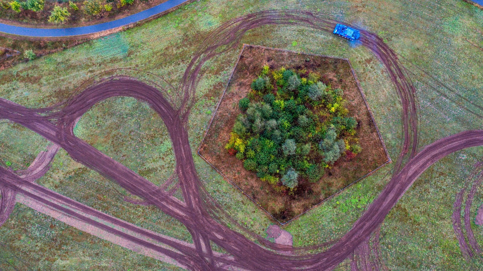 Mit einem Bergepanzer T55 aus russischer Produktion wird am Stadtrand durch ein Privatunternehmen für Waldbrand- und Katastropheneinsätze eine Natur-Ausgleichsflächen für die Ansiedlung von Reptilien vorbereitet (Luftaufnahme mit einer Drohne)