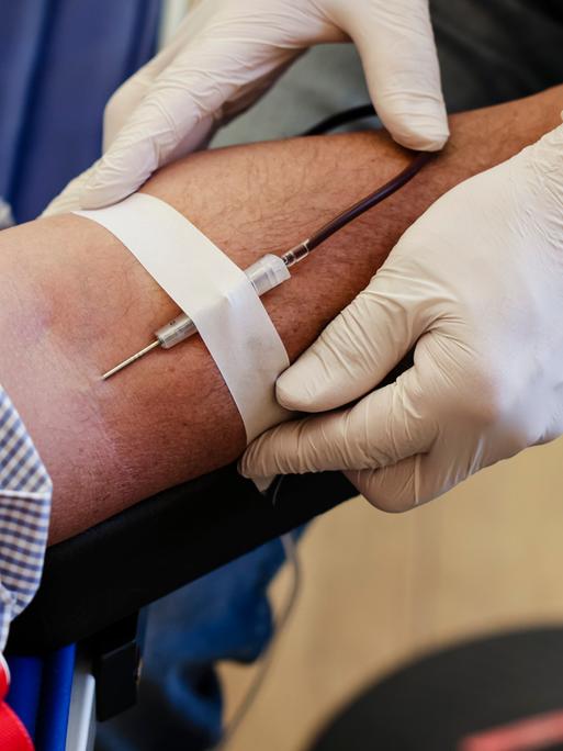 Ein Mitarbeiter befestigt eine Kanüle an dem Arm eines Mannes um eine Blutspende zu entnehmen