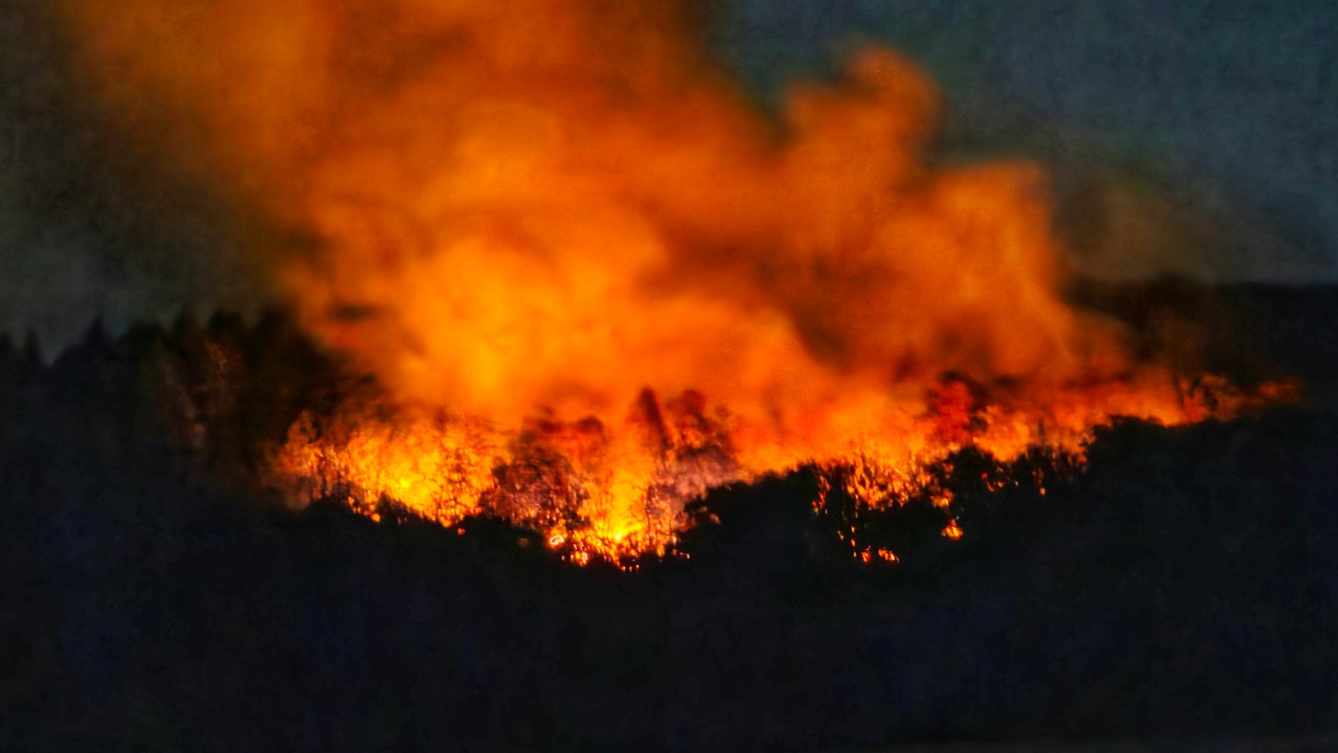 Das Foto zeigt ein brennendes Waldgebiet in der Nähe des rheinland-pfälzischen Ortes Traisen.