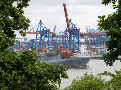 Blick auf den HHLA Container Terminal Burchardkai CTB im Hamburger Hafen. Es sind Krane und ein Containerschiff zwischen Bäumen zu sehen.