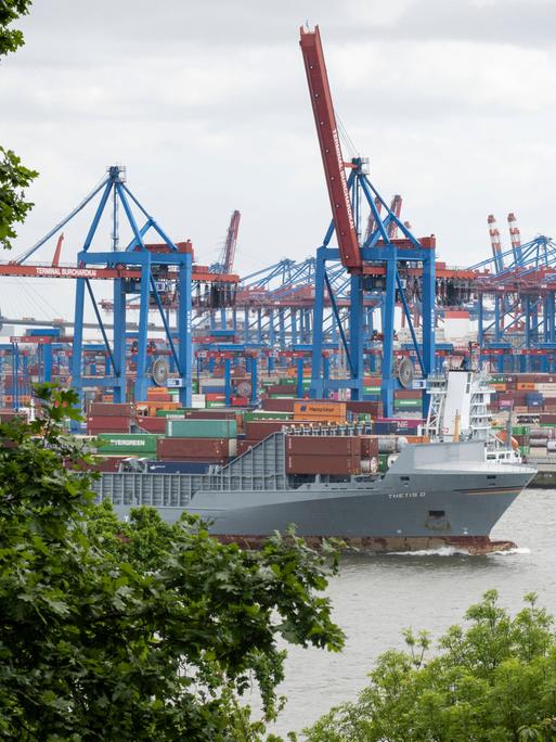 Blick auf den HHLA Container Terminal Burchardkai CTB im Hamburger Hafen. Es sind Krane und ein Containerschiff zwischen Bäumen zu sehen.