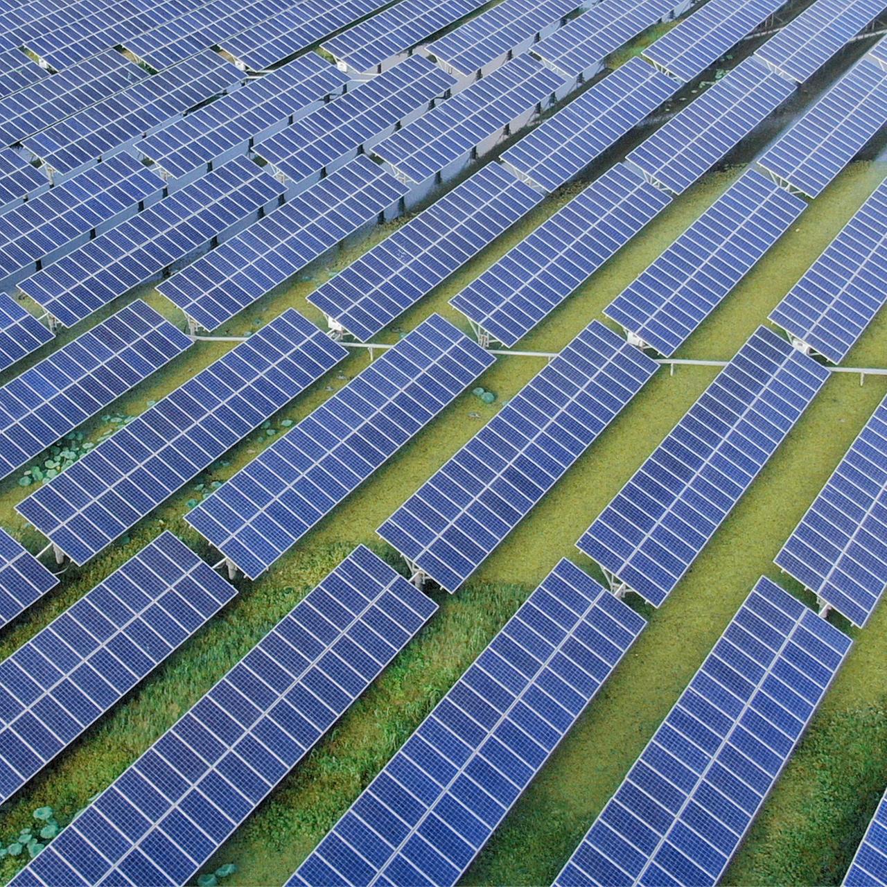Blick auf einen Solarpark von oben