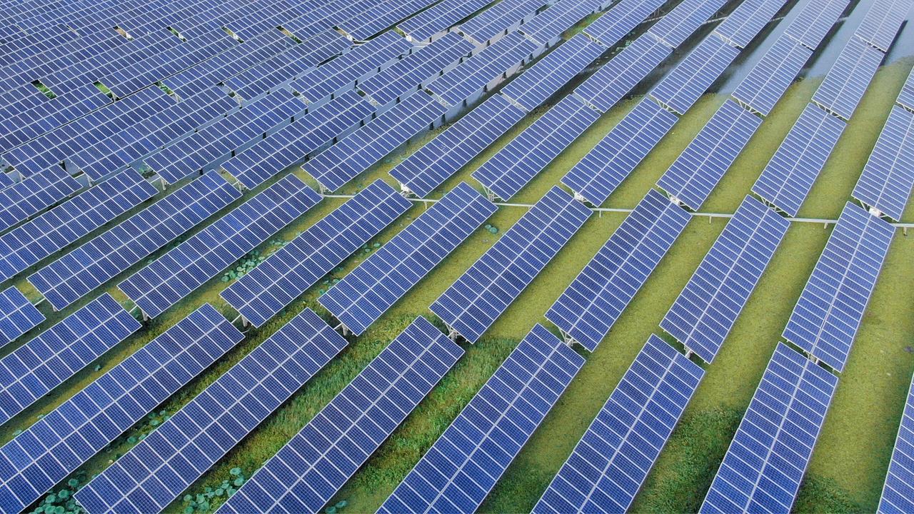 Blick auf einen Solarpark von oben