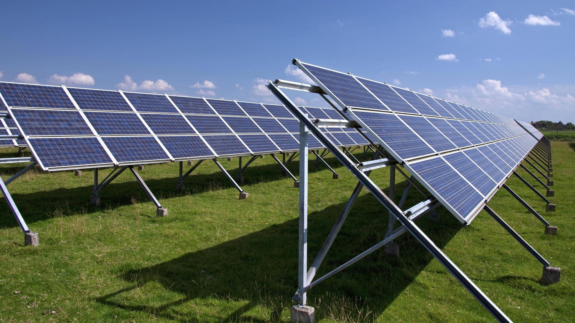 Photovoltaische Solarmodule zur Stromerzeugung auf einer Wiese