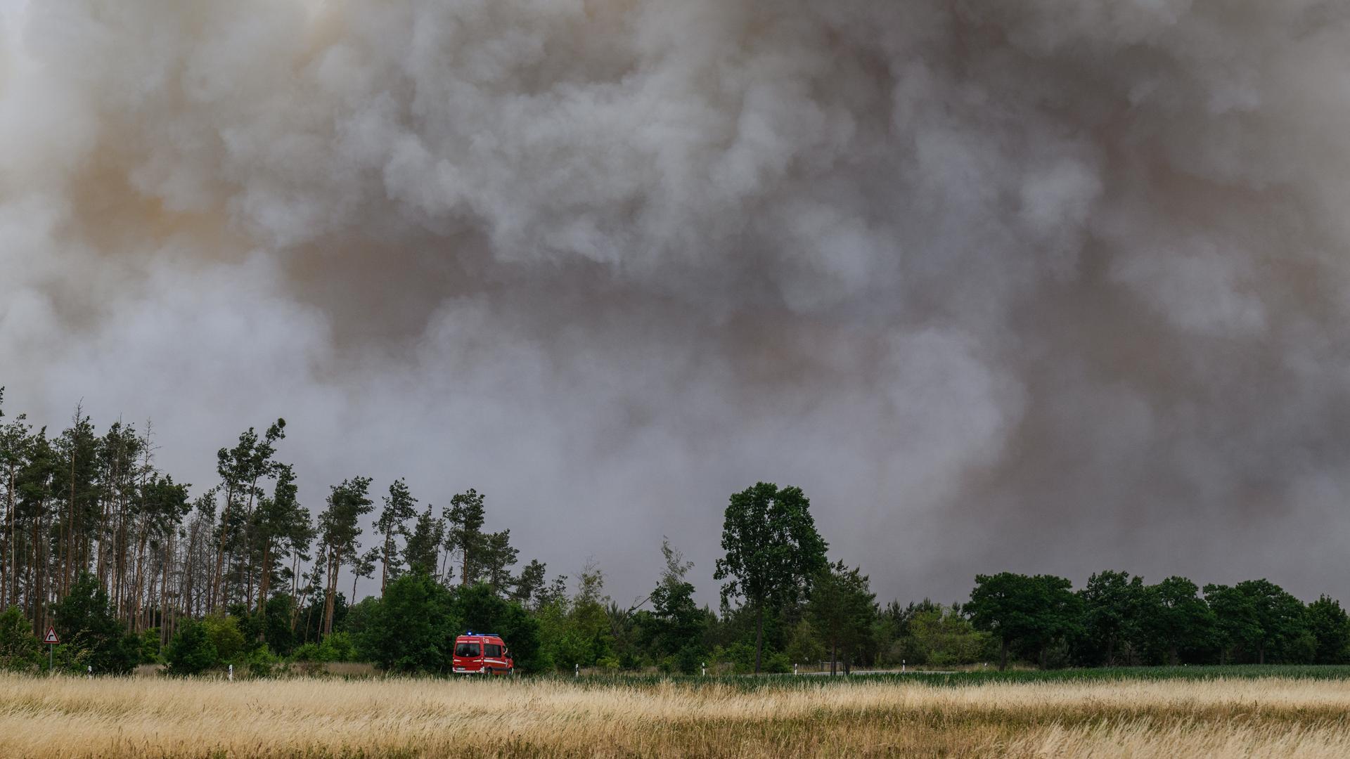 Rauch steigt aus einem Waldbrandgebiet in der Gohrischheide in den Himmel. In der Gohrischheide an der Landesgrenze zu Brandenburg bekämpft die Feuerwehr einen größeren Waldbrand. Rauch steigt aus einem Waldbrandgebiet in der Gohrischheide in den Himmel. In der Gohrischheide an der Landesgrenze zu Brandenburg bekämpft die Feuerwehr einen größeren Waldbrand.