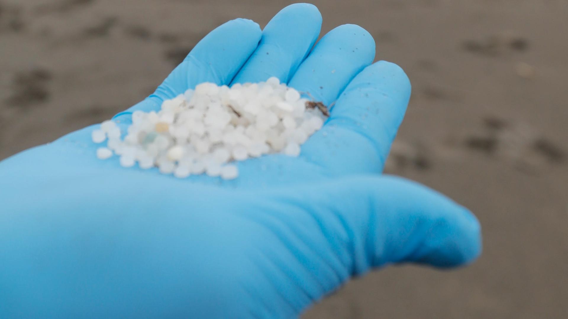 Ein Tragsa-Mitarbeiter hält am Strand von Otur Plastikpellets in der Hand.