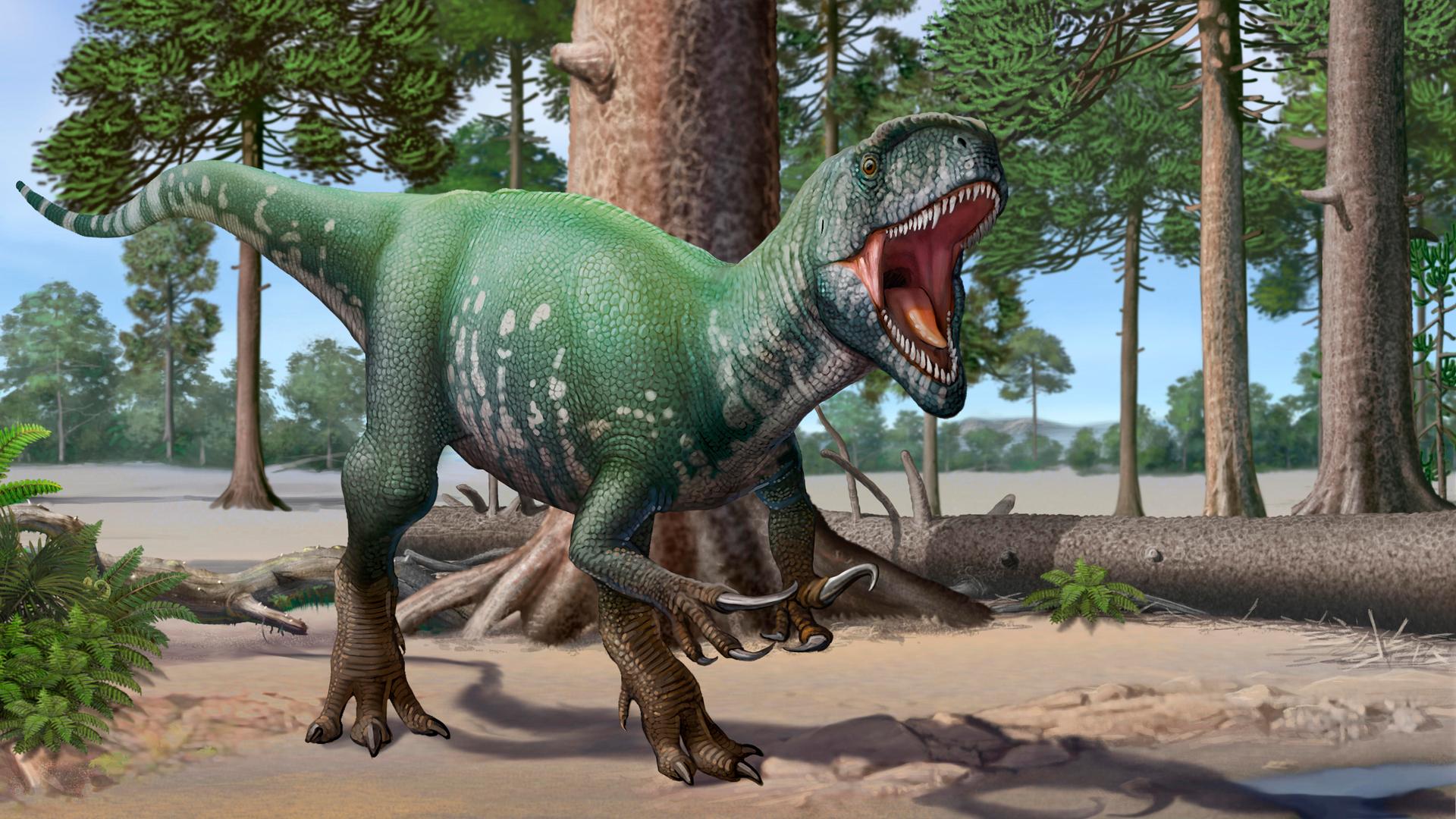 Der Megaraptor lebte im Coniacium, einer Stufe der Oberkreide.(Grafik)