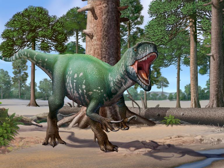 Der Megaraptor lebte im Coniacium, einer Stufe der Oberkreide.(Grafik)
