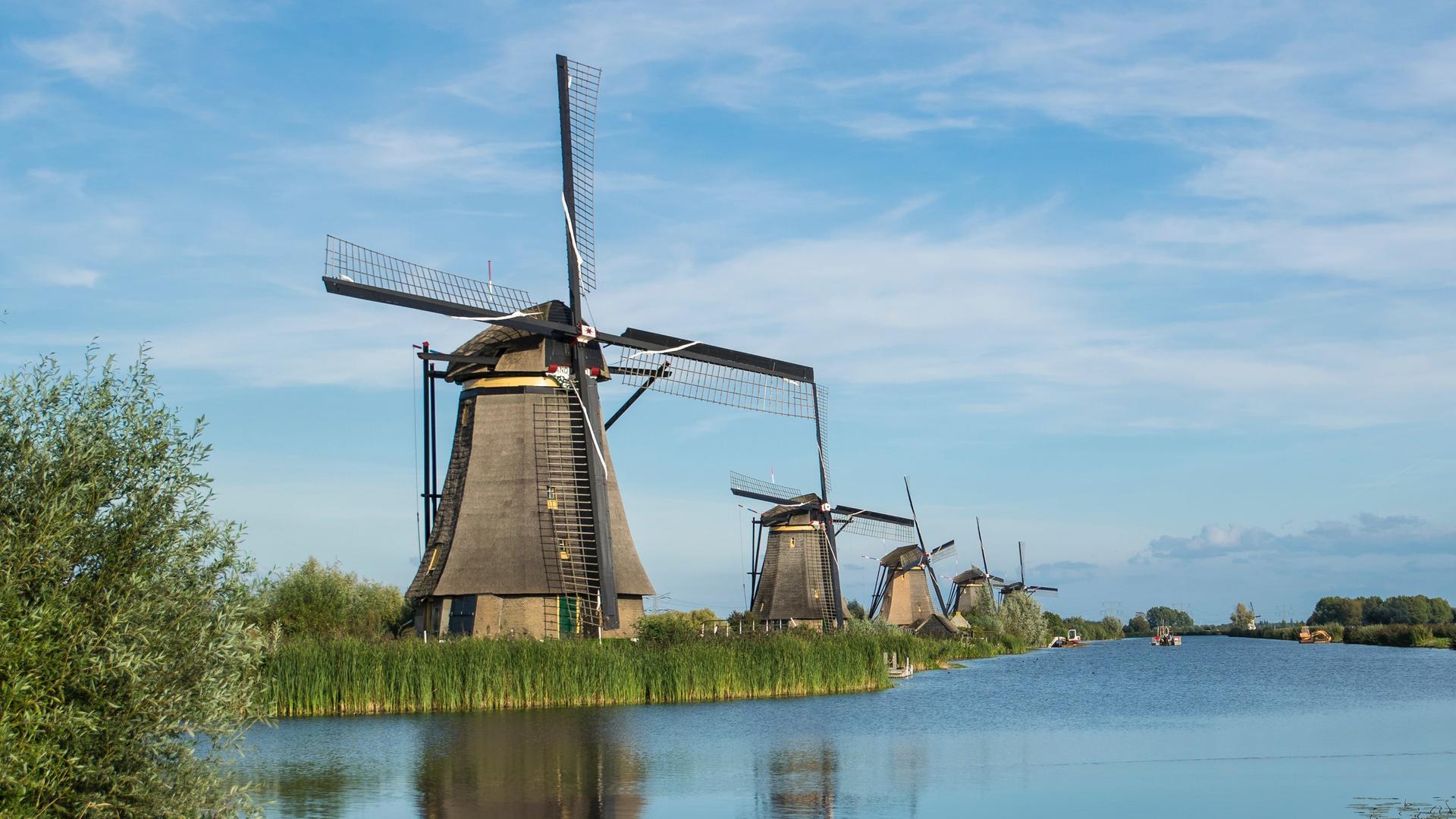 Niederlande: Blick zu einem Flussufer, an dem etliche baugleiche Windmühlen stehen.
