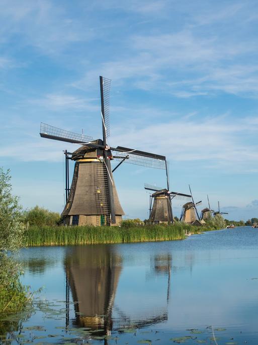 Niederlande: Blick zu einem Flussufer, an dem etliche baugleiche Windmühlen stehen.