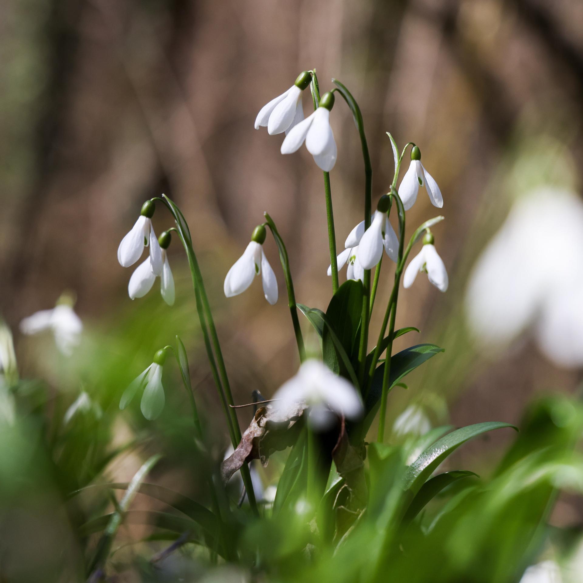 Gartenjournalistin Anja Birne - Der Rhythmus des Lebens