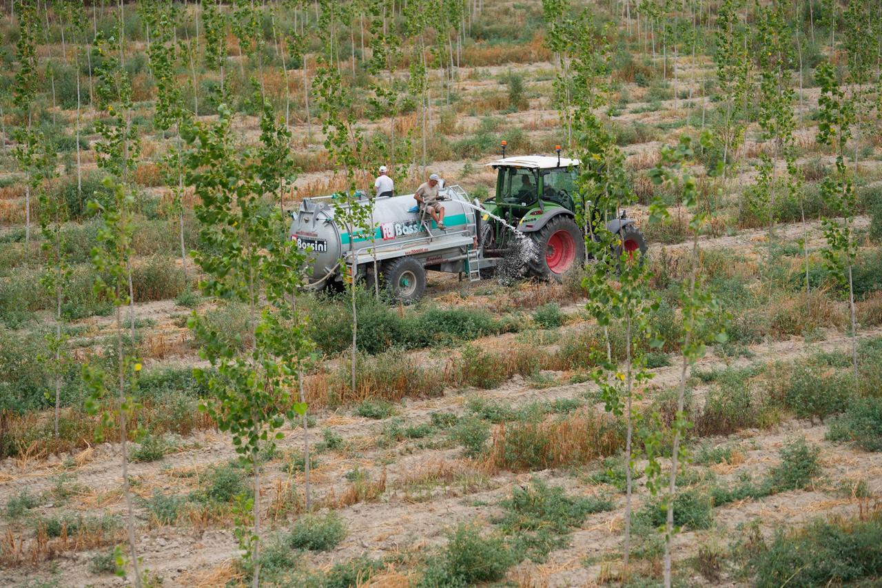 Italienische Landwirte bei der Arbeit im Dürresommer 2022