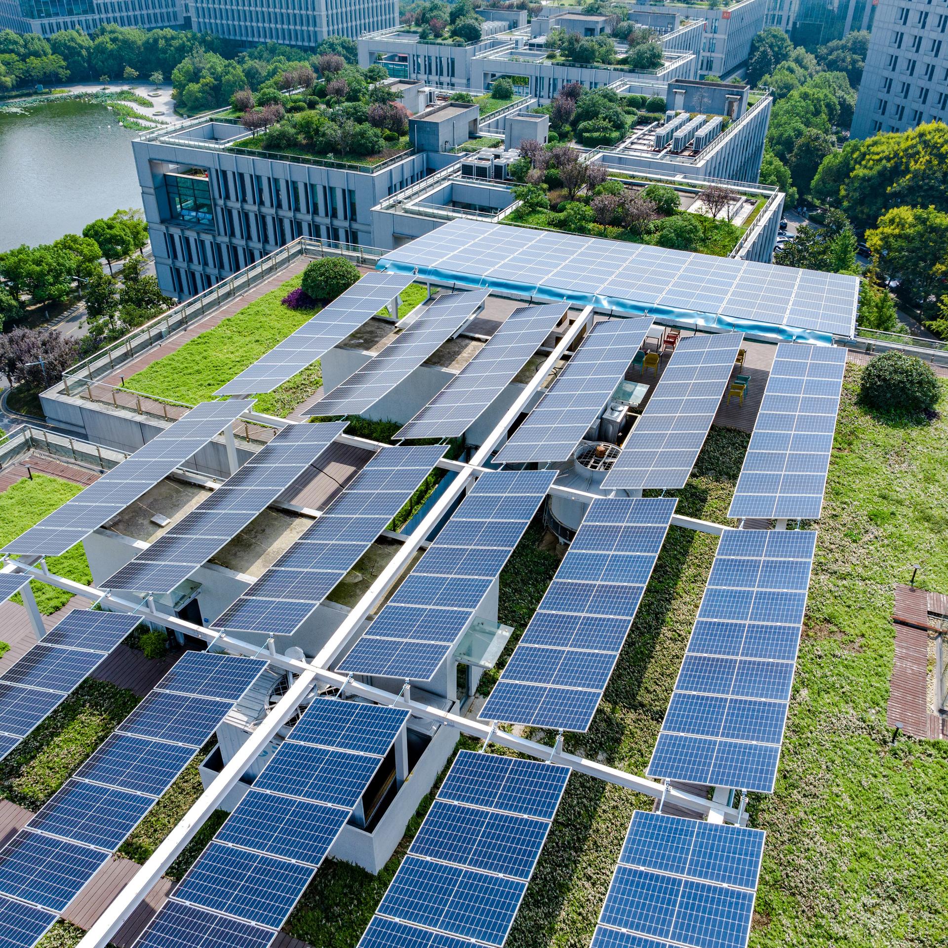Auf einem städtischen Gebäude befinden sich Solarzellen und viel Grün.