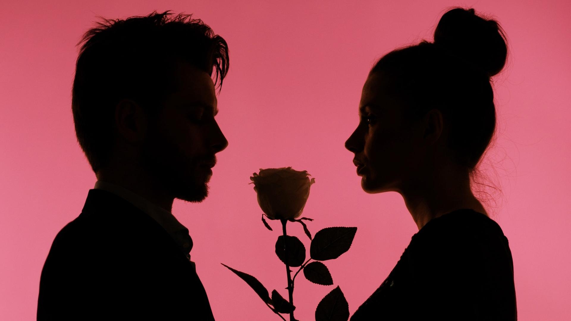 Silhouette eines Mannes und einer Frau, die sich gegenüberstehen, zwischen ihnen ist eine Rose