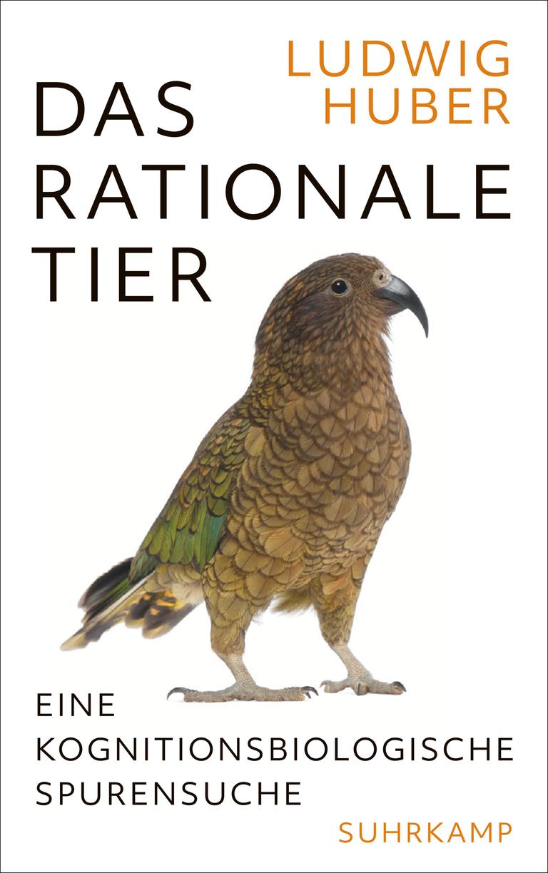 Das Cover des Buches "Das rationale Tier" von Ludwig Huber: Darauf ist ein Vogel abgebildet.