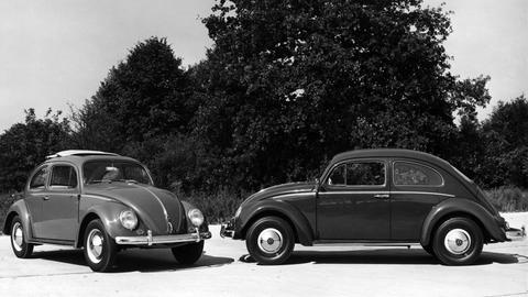 Schwarzweißes Archivfoto zweier VW Käfers Export-Modelle auf einem Weg. Im Hintergrund sind Bäume sichtbar.