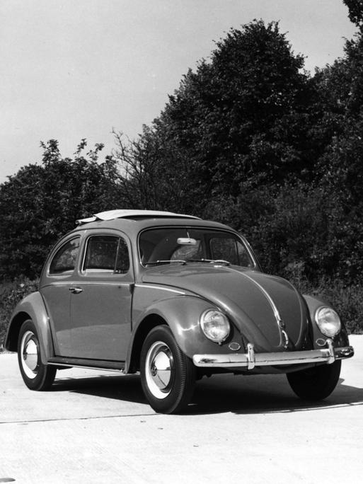 Schwarzweißes Archivfoto zweier VW Käfers Export-Modelle auf einem Weg. Im Hintergrund sind Bäume sichtbar.