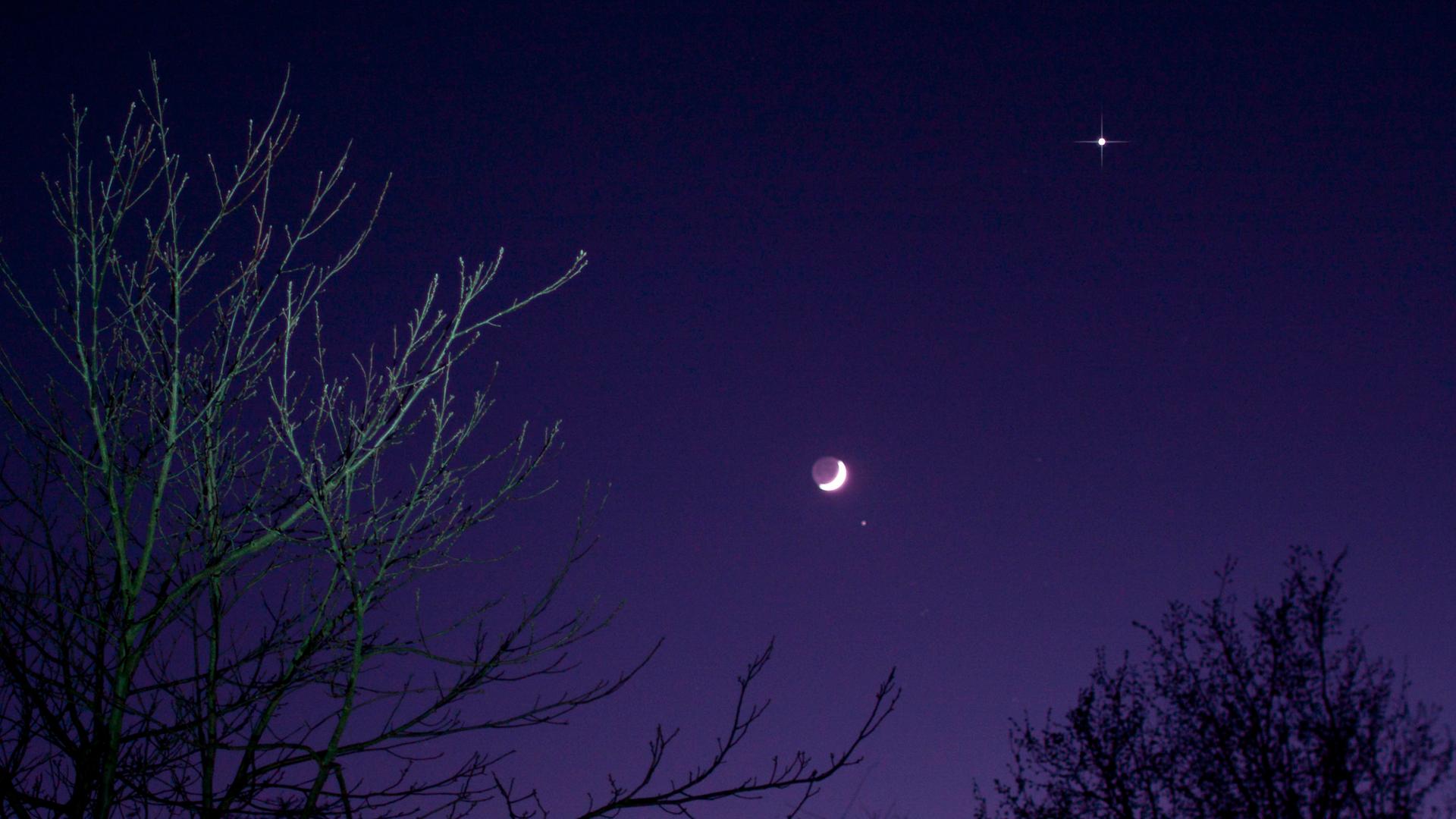 Violett scheinender Nachthimmel, auf dem der Mond und einige Sterne zu erkennen sind. Im Vordergrund dunkle Bäume.