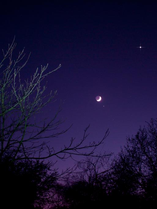 Violett scheinender Nachthimmel, auf dem der Mond und einige Sterne zu erkennen sind. Im Vordergrund dunkle Bäume.