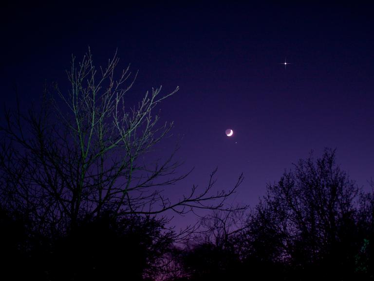 Violett scheinender Nachthimmel, auf dem der Mond und einige Sterne zu erkennen sind. Im Vordergrund dunkle Bäume.