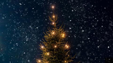 Ein geschmückter Tannenbaum nachts bei Schnee im Freien.