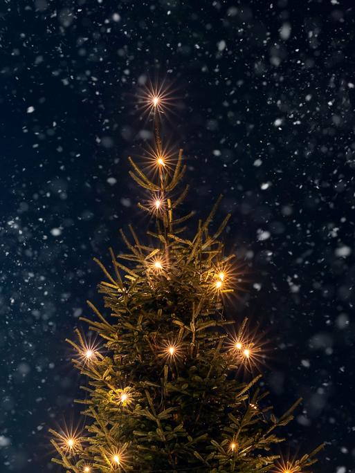 Ein geschmückter Tannenbaum nachts bei Schnee im Freien.