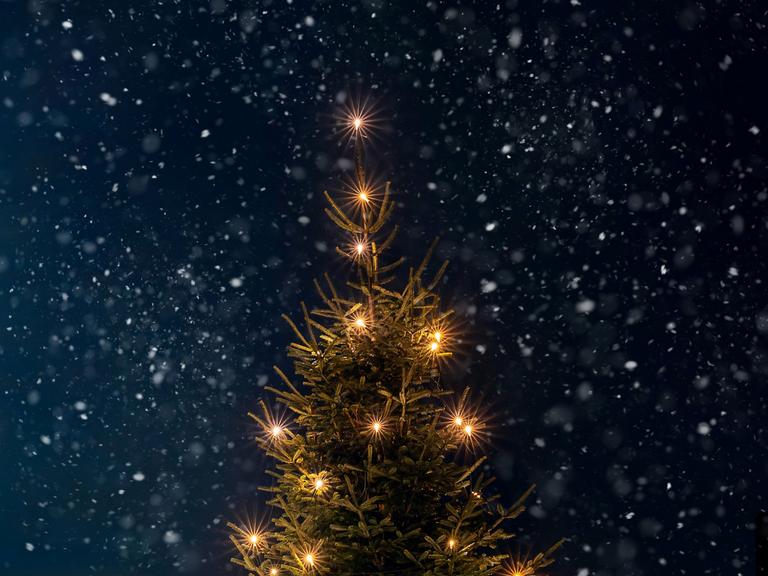 Ein geschmückter Tannenbaum nachts bei Schnee im Freien.