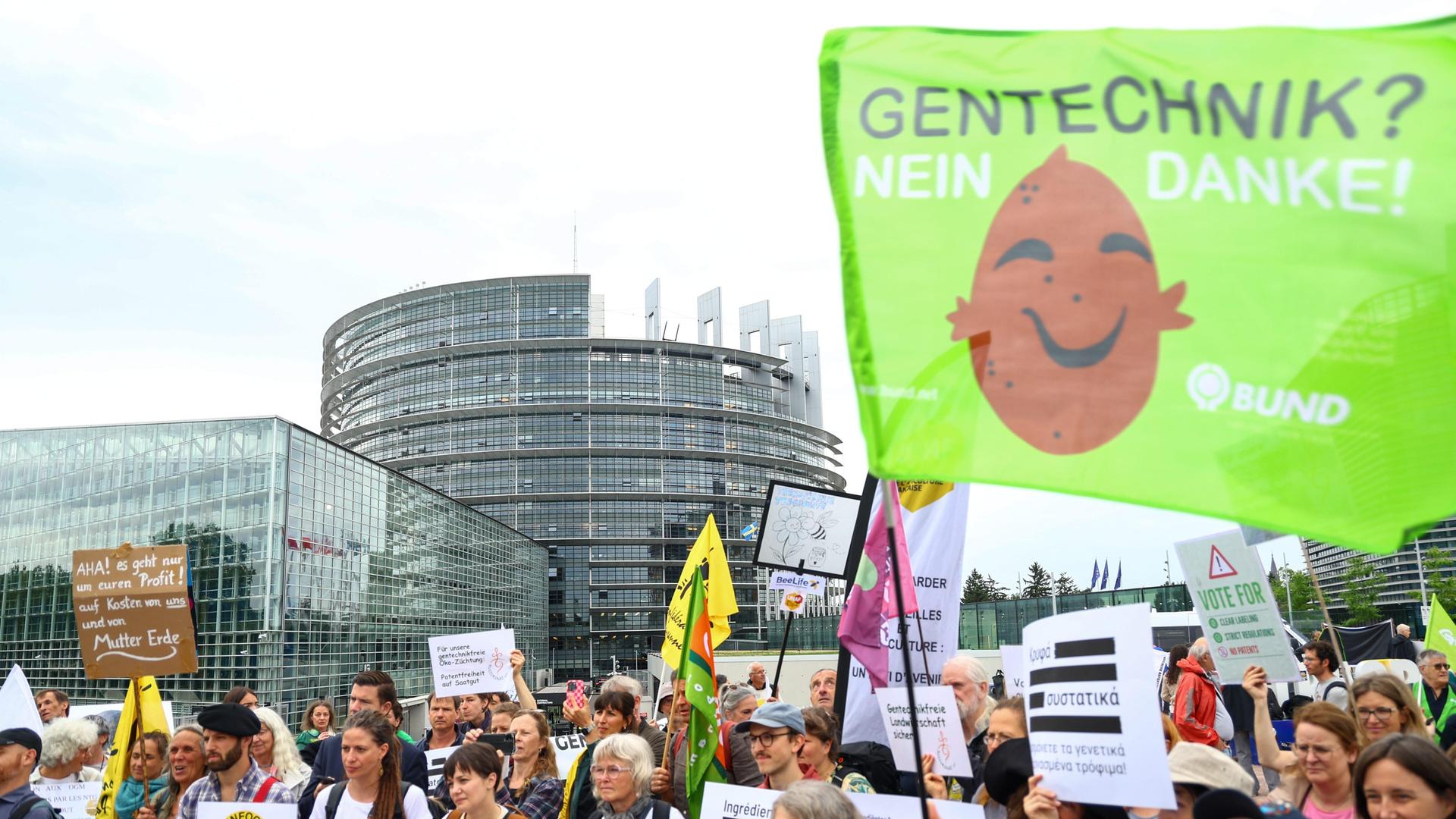 "Gentechnik? Nein Danke!" steht auf einem Transparent von Demonstranten vor dem EU-Parlament in Straßburg.