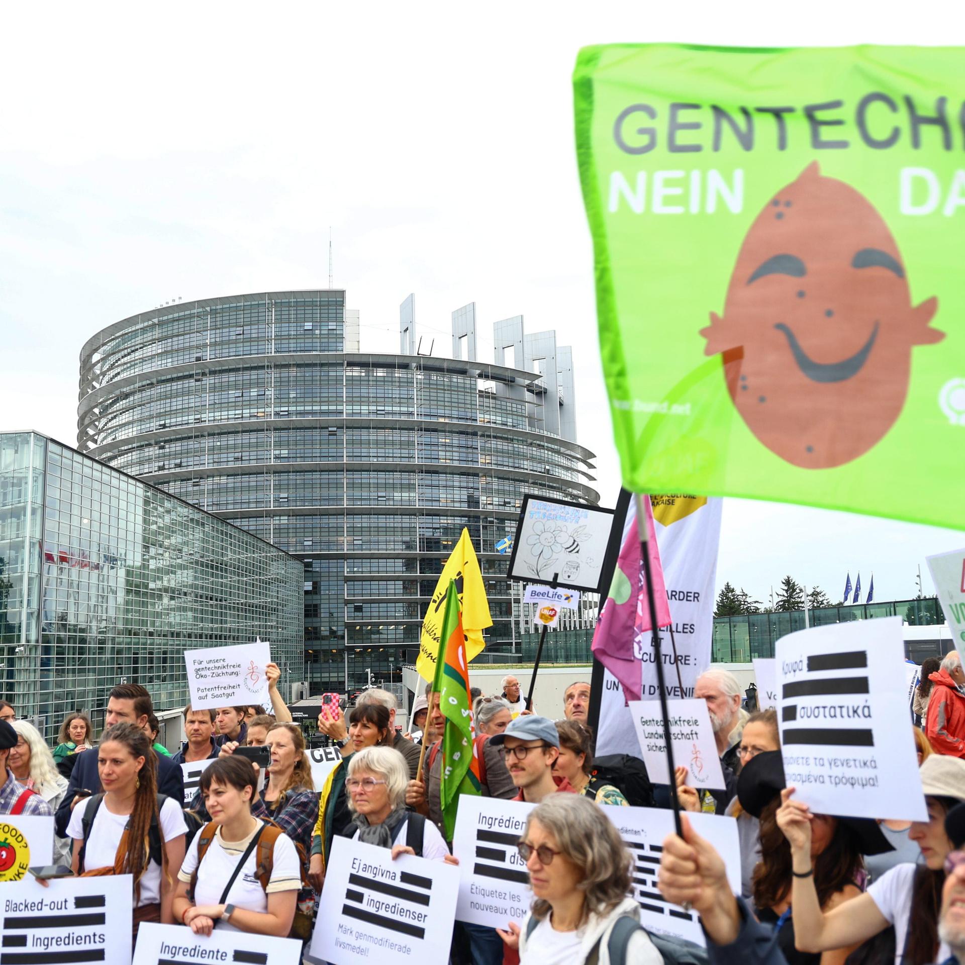 Moderne Gentechnik - Hoffnung in der Forschung, Sorgen bei Kritikern
