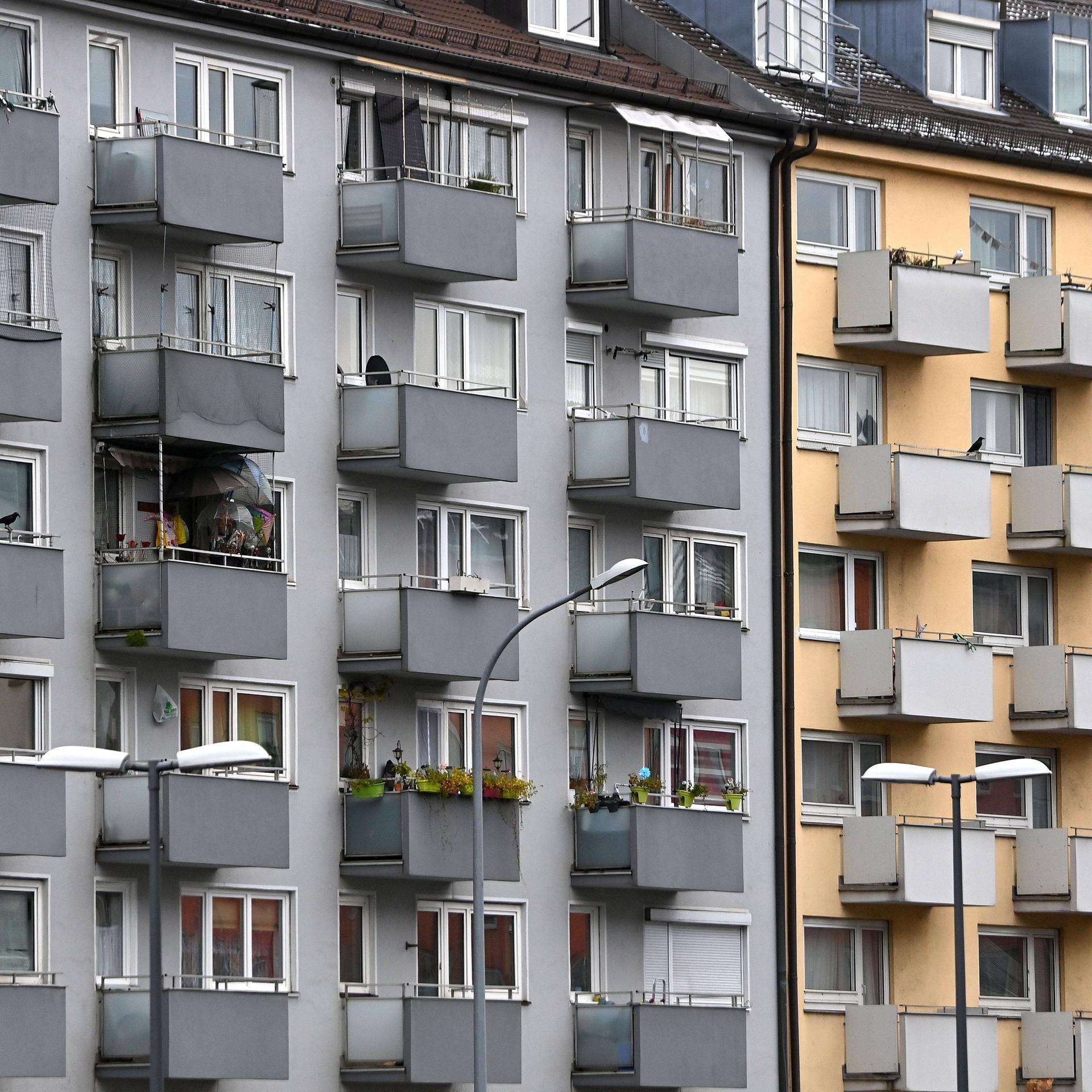 Bild/Foto
