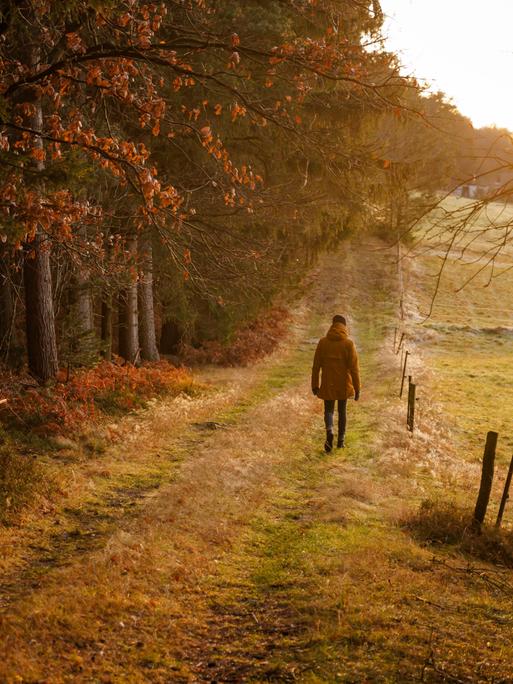 Eine Frau läuft im Abendlich an einem Wald entlang