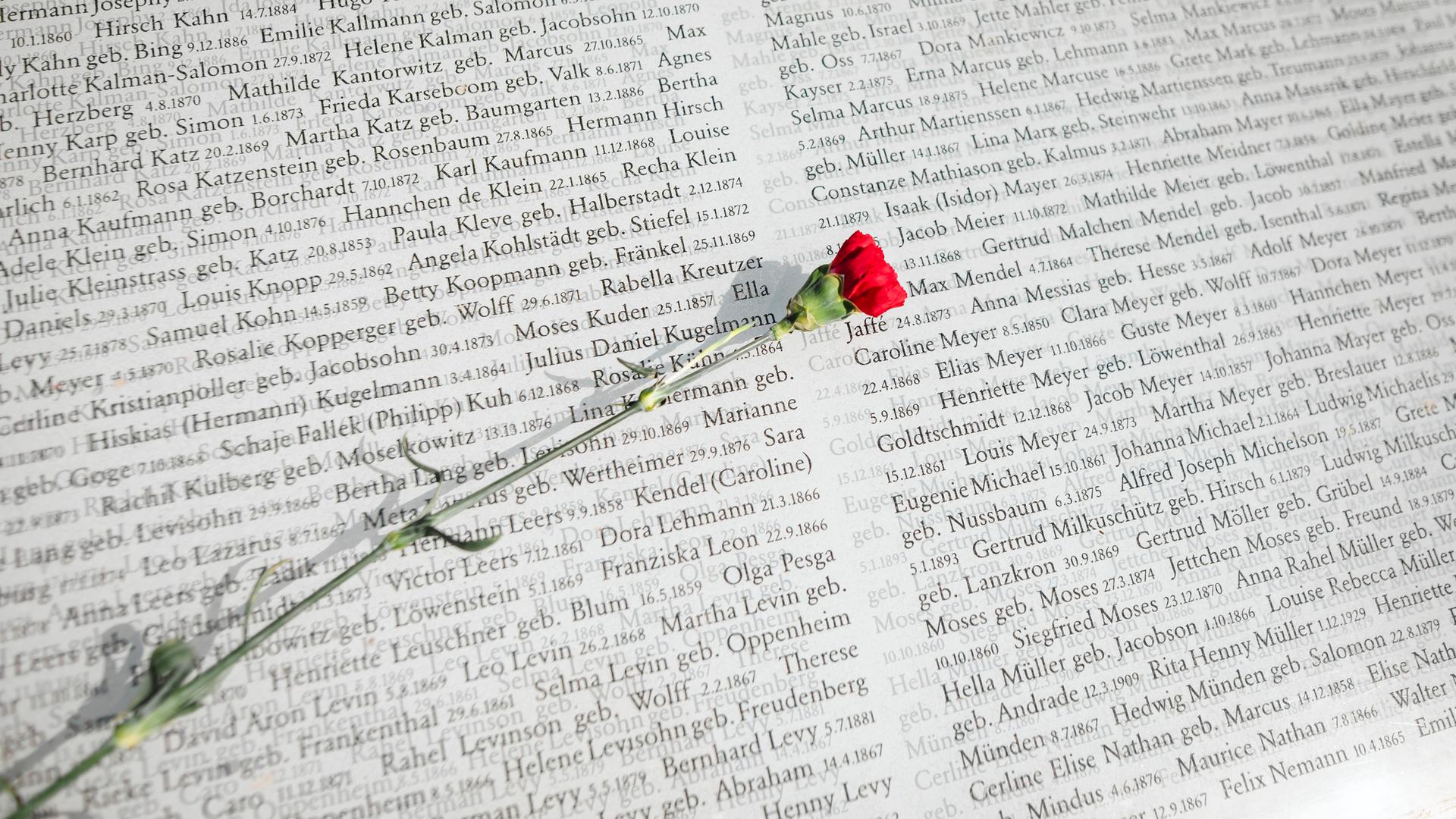 Eine rote Blume liegt auf einer Buchseite mit aufgedruckten Namen. Eine rote Blume liegt auf einer Buchseite mit aufgedruckten Namen.