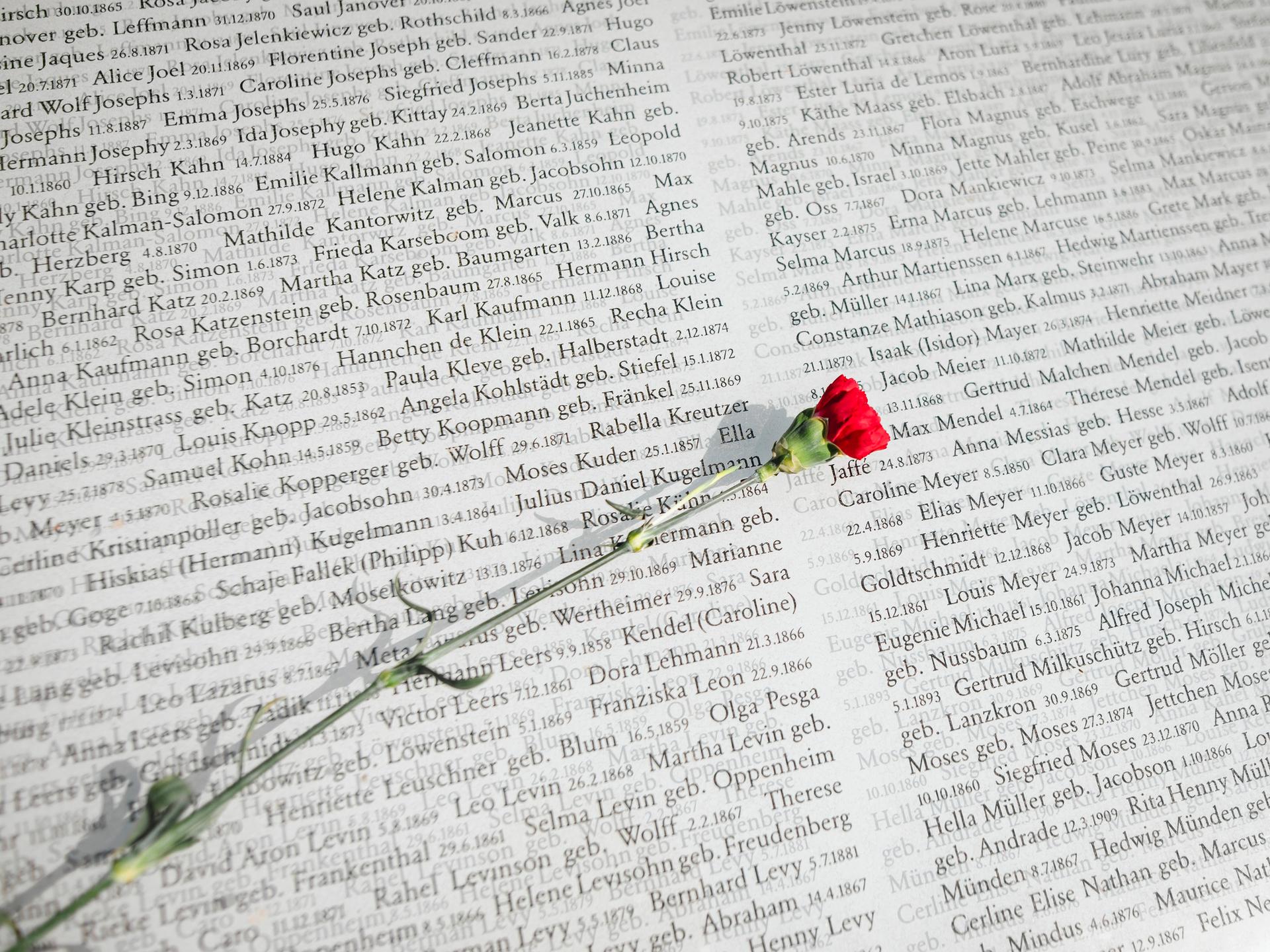 Eine rote Blume liegt auf einer Buchseite mit aufgedruckten Namen.