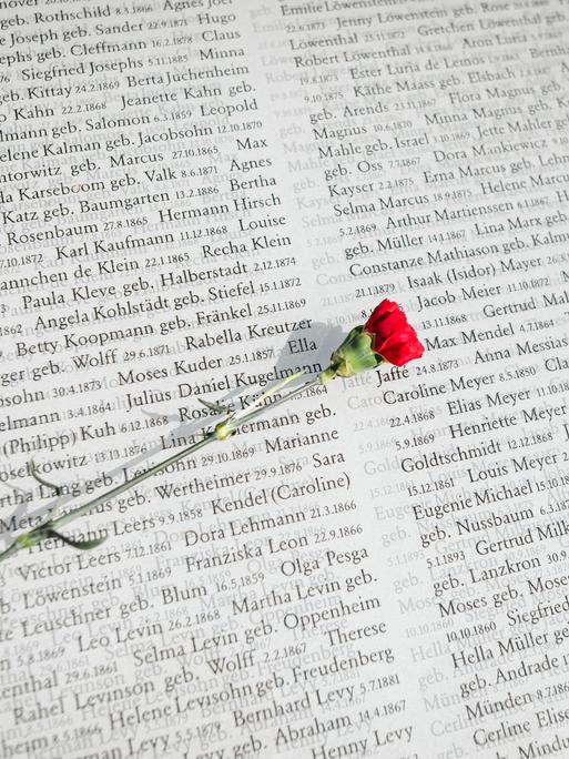 Eine rote Blume liegt auf einer Buchseite mit aufgedruckten Namen. Eine rote Blume liegt auf einer Buchseite mit aufgedruckten Namen.